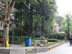 -上海市中医文献馆