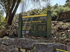 -怀托摩萤火虫洞