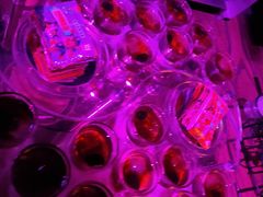 -贰麻酒馆(金山斗酒场店)