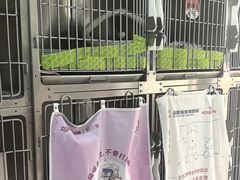-派美特宠物医院·核磁CT·骨科肿瘤·疑难转诊(沈农禾丰店)