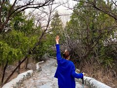 -阳台山自然风景区