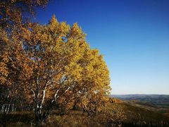 -塞罕坝国家级自然保护区