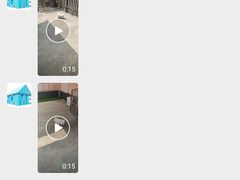 -宠物之家Pets Home 宠物寄养酒店
