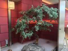 -宴长沙(五一广场店)