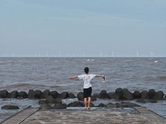 -南汇嘴观海公园