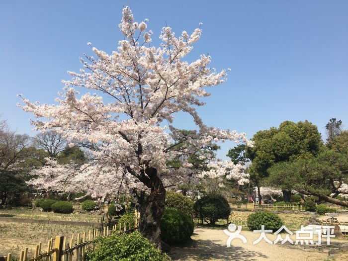 鹤舞公园-图片-名古屋景点玩乐-大众点评网