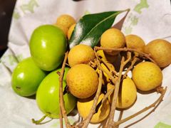 -季季山·云南野生菌火锅(上海首店)