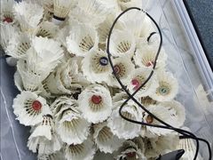 -阳光羽毛球馆(马家龙店)