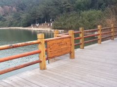 景点-天目湖山水园