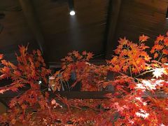 -湘域·少東家(平沙店)