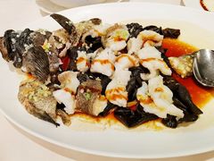 古法蒸老虎斑-利苑酒家(金宝店)