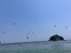 -棒棰岛宾馆景区