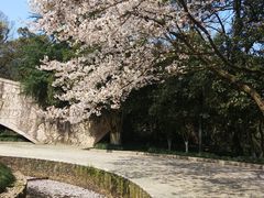 -杭州少年儿童公园