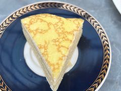 -Hi City·城市之巅