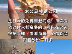 -巧克力渔家.小船海鲜家常菜(万平口店)