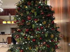 -香港尖沙咀凯悦酒店