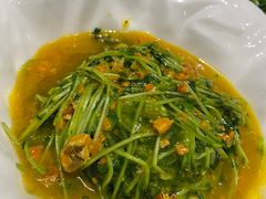 -梧桐餐厅(泉城路店)