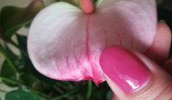 -悦色美甲美睫·精品