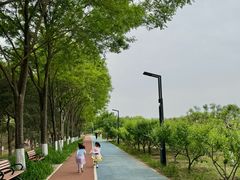 -大兴滨河森林公园