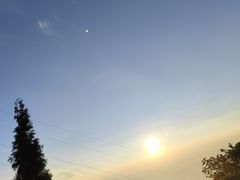 -武陵山森林公园
