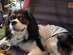 -J Create城市露营咖啡·简餐·宠物(上海动物园店)