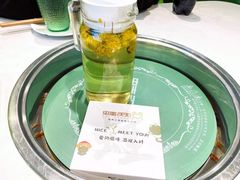 菊花茶-蛙两只美蛙鱼头火锅(恒茂店)