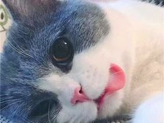 -苏阳许记绿豆汤(阳山店)