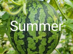 -庞各庄翠芳园西瓜蔬菜基地采摘园