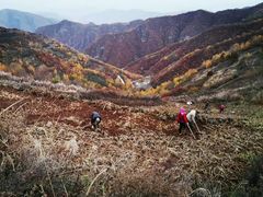 -云顶山风景区