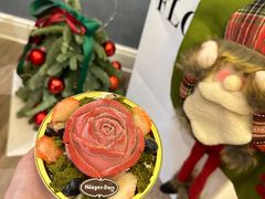 -哈根达斯(钟楼新店)