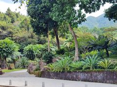 -深圳仙湖植物园