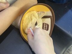 -御宝贝·A梦猫科宠物医院(国际猫友好医院)