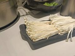 -陈记顺和潮汕牛肉火锅(番禺迎宾大道店)