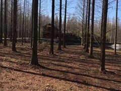 -黄海国家森林公园