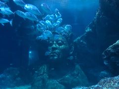-暹罗海洋世界