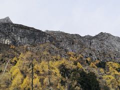 景点-毕棚沟景区
