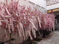 -李香君故居陈列馆