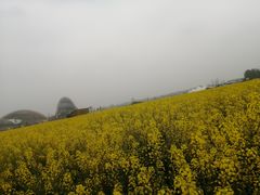 -中国天府农业博览园