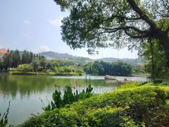 -厦门大学(思明校区)