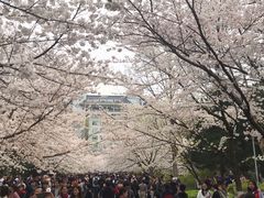 -南京林业大学-图书馆