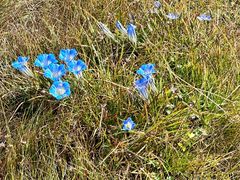 -生宇山珍野生菌汤锅•始于2002(双流古塔店)