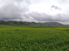 -扁都口生态休闲旅游区