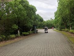 -上海海湾国家森林公园