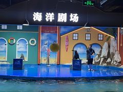 -重庆欢乐海底世界