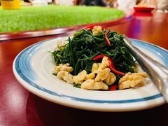 -蒙古大营(朝阳公园店)