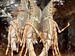 -水木锦堂·自助铁板烧(方庄时代店)