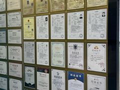 -博特宠物医院24h犬猫全科.骨科·异宠