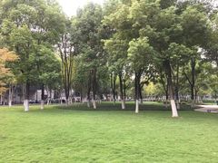 -西北湖绿化广场