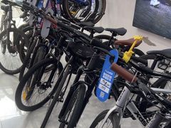 -xds喜德盛自行车(滴水湖店)