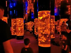 -成都浩海立方海洋公园